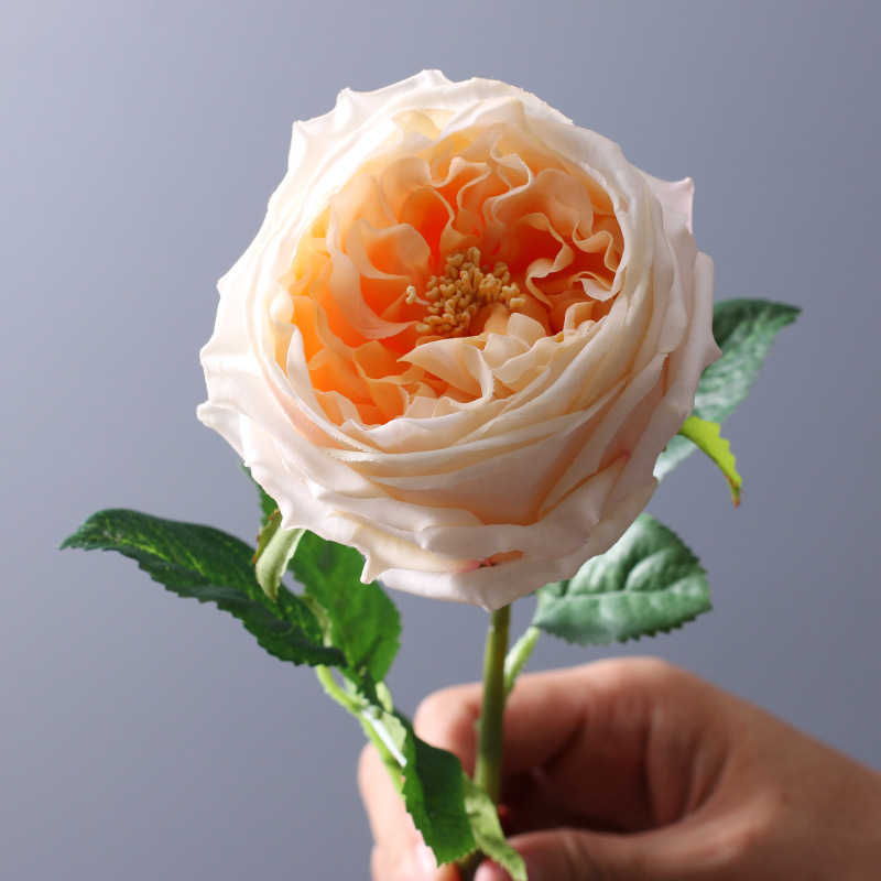 Pivoine Rose Artificielle au T - Office Furniture Brands avis et prix